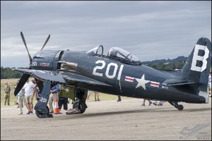 D75_8712a
